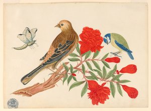 Brun-og-sort fugl og blå-og-gul fugl på gren med røde blomster, jagtende insekter af Unknown artist