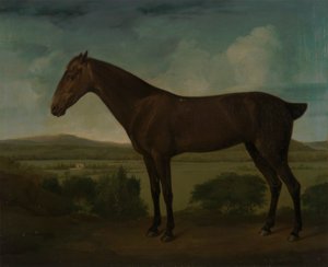 Brun hest i et kuperet landskab af Unknown artist