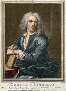 Carl Von Linné svensk naturforsker og forfatter (1707 - 1778) af Unknown artist