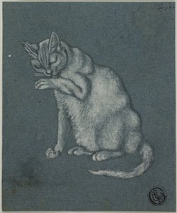 Kat slikker pote af Unknown artist