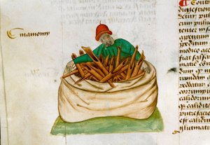 Kanel Sælger Beskrivelse af lægeplanter og hvordan man forbereder dem. Manuskriptside "" Godbidder på urter"" (Tractatus de herbis) af Pedanius Dioscorides (Dioscorides) (40-90 e.Kr.) Lat.1152 af Unknown artist