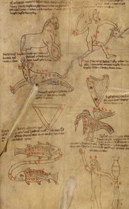 Konstellationsdiagrammer af Unknown artist