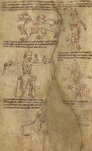 Konstellationsdiagrammer af Unknown artist