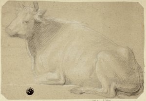 Ko, der ligger på bagdelen af Unknown artist