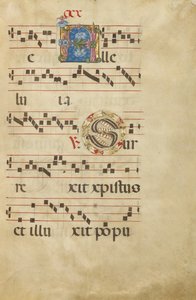 Dekoreret initial A; Dekoreret initial S af Unknown artist