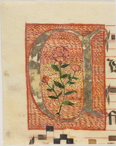 Dekoreret initial "A" med blomst fra et manuskript af Unknown artist