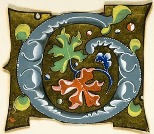 Dekoreret initial "G" i grå med røde, grønne og blå blade fra et manuskript af Unknown artist