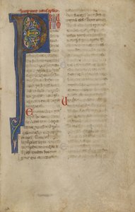 Dekoreret initial P af Unknown artist