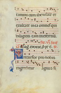 Dekoreret initial P af Unknown artist