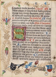 Dekoreret initial S af Unknown artist