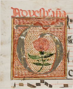 Dekoreret initial "T" med blomst fra et manuskript af Unknown artist