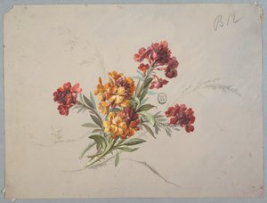 Design til tapet og tekstil: Blomster af Unknown artist