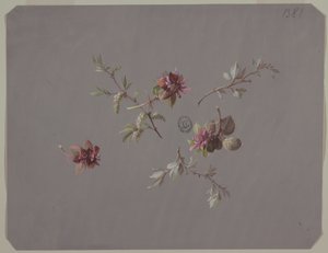Design til tapet og tekstiler: Blomster af Unknown artist