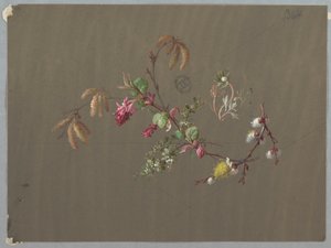 Design til tapet og tekstiler: Blomster af Unknown artist