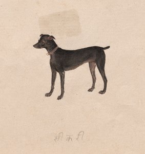 Hund af Unknown artist