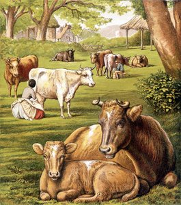 Landmænd, der trækker mælk. 19. århundrede. af Unknown artist