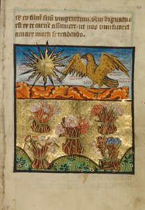 Fem bundter blomster af Unknown artist