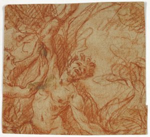 Flåning af Marsyas af Unknown artist