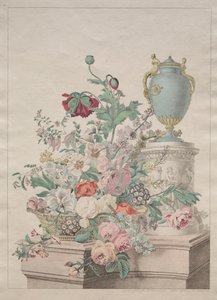 Malerisk Flora eller Samling af Frugter og Blomster af Unknown artist