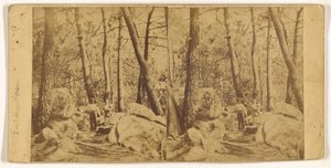 [Fontainebleau] af Unknown artist