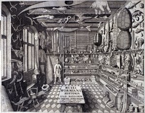 Frontispice af "Musei Wormiani Historia"" viser det indre af kabinettet af kuriositeter af Ole Worm eller Olaus Wormius af Unknown artist