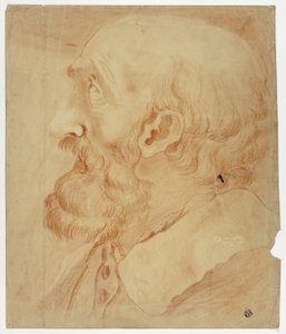 Hoved af skægget mand i profil af Unknown artist