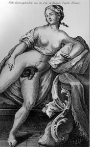 Hermafrodit-pige set i 1751 og hentet fra naturen. af Unknown artist