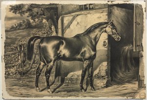 Hest foran en lade (verso) af Unknown artist