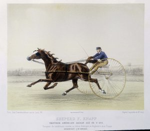 Ridning: Hyrde F. Knapp, traver - i "" kentauren"" af Unknown artist