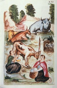 Indiske hyrder, der passer køer, fra bogen "Trujillo del Peru" eller "Códice Martínez Compañón", af Baltazar Martinez Compañón y Bujanda, biskop af Trujillo (1782-1785) af Unknown artist
