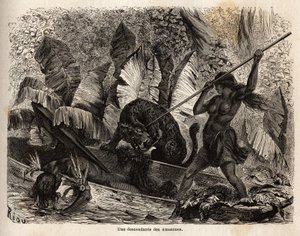 Indisk ticuna (Peru), der med et spyd angriber en tiger, der lige er hoppet ind i sin kano og sårede sin kammerat, ticunaerne ved Nhamondas-floden er velrenommerede for deres krigerkoner, så de første rejsende og lærde, der observerede dem, kaldte dem Amaz af Unknown artist