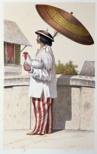 Ureinwohner aus Ozeanien - in „First Swedish Circumnavigation“ von Skogman Carl Johan Alfred, ed. Stockholm, Adolf Bonnier von Unknown artist