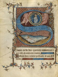 Indledende S: David i vandet af Unknown artist