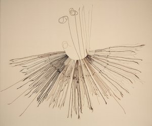 Inka Khipu (fiberoptageenhed) af Unknown artist