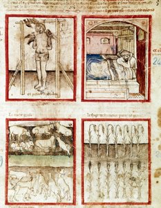 Joseph fortolker kurvemagerens drømme, der ender med at skære hovedet. Øverst til højre drømmer faraoen om de syv fede køer, forudanelse om årene med overflod og de syv magre køer fra sulteårene Miniature taget fra codex 212 af Unknown artist