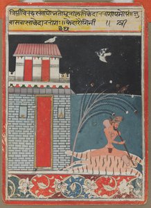 Til den behårede ragi af Unknown artist