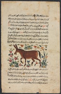 Andet (fundet), fra en nezhantami-besætning (fremragende bog om vi vil ankomme) fra Shahmarda Ibn Abi al-Khair (forsa) af Unknown artist
