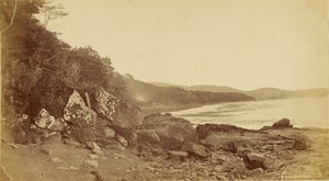 Dawson Island Lagoon. af Unknown artist