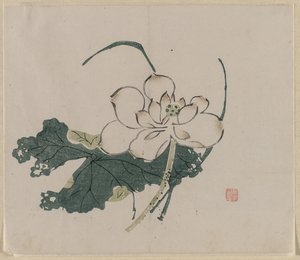 Lotus blomst af Unknown artist
