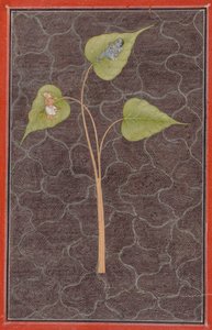 Markandeya ser Krishna i det kosmiske hav af Unknown artist