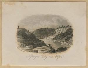 Nightingale Valley, nær Clifton af Unknown artist
