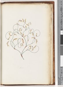 Page 229. Restiodani af Unknown artist