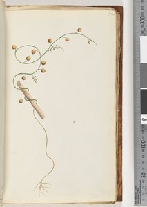 Side 52. Uidentificeret anlæg af Unknown artist