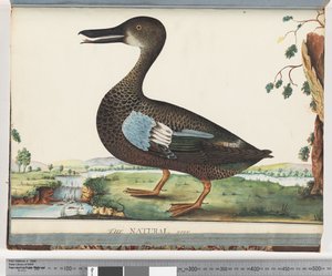 Side 87. And af Unknown artist