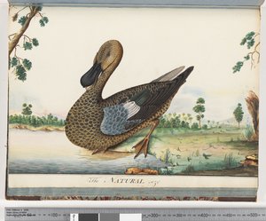 Side 89. And af Unknown artist