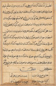 Side fra Tales of a Parrot (Tuti-nama): tekstside af Unknown artist