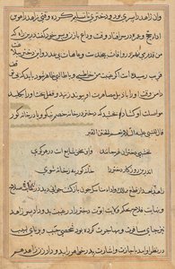 Side fra Tales of a Parrot (Tuti-nama): tekstside af Unknown artist