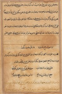 Side fra Tales of a Parrot (Tuti-nama): tekstside af Unknown artist