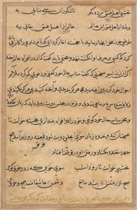 Side fra Tales of a Parrot (Tuti-nama): tekstside af Unknown artist