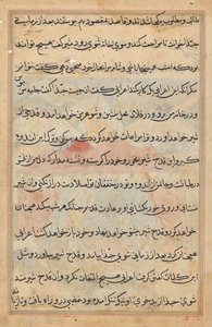 Side fra Tales of a Parrot (Tuti-nama): tekstside af Unknown artist